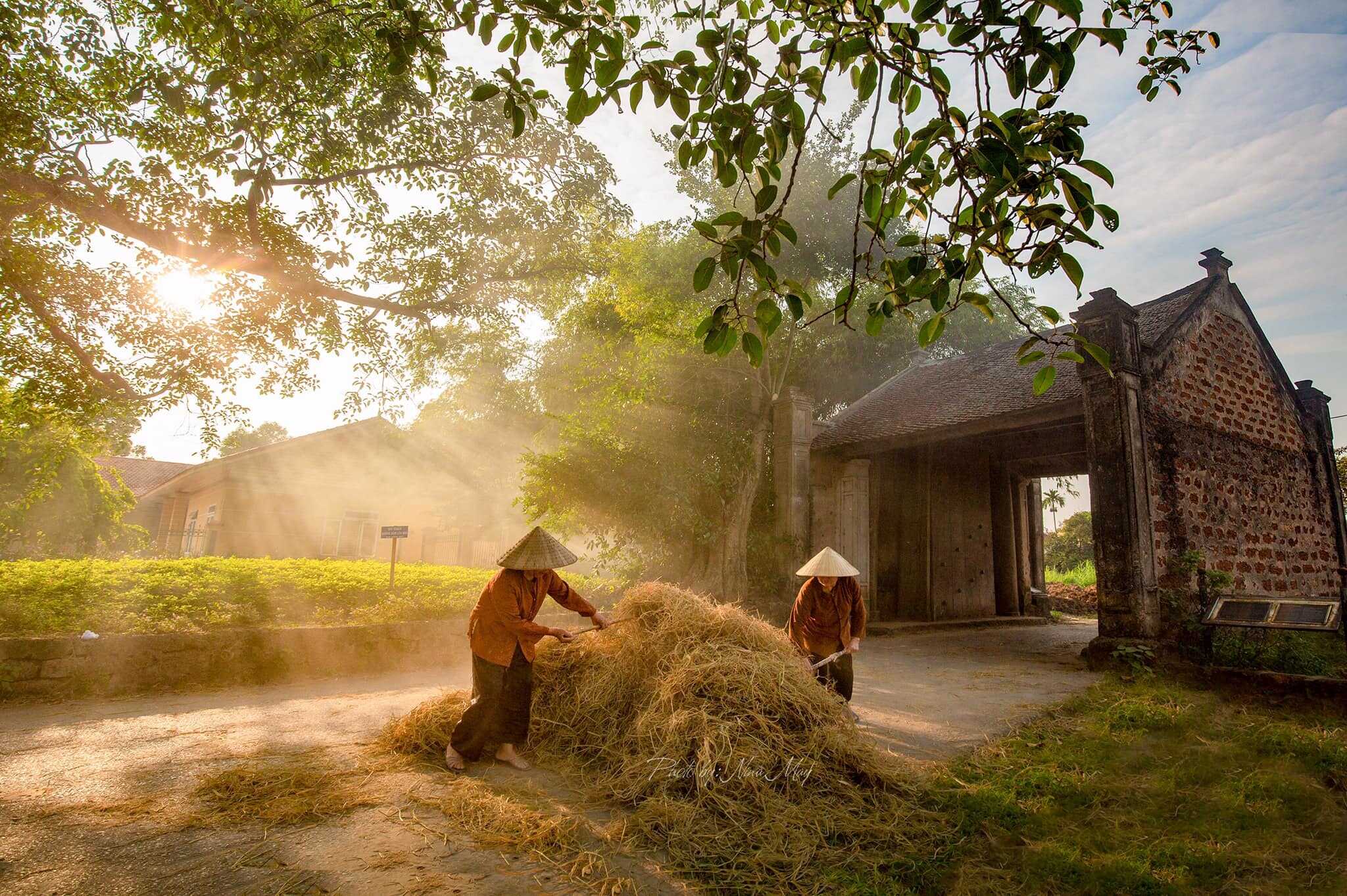 Tour Trong Ngày | 4.5 Giờ Trải Nghiệm Vùng Ngoại Ô Hà Nội